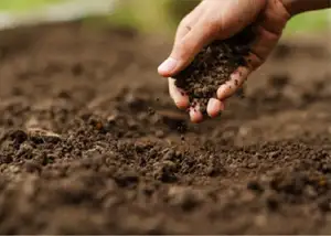 Construction Material Testing Chhattisgarh - National Building Material Lab