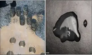 Construction Material Testing Chhattisgarh - National Building Material Lab